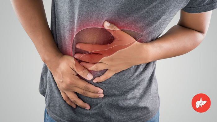 Fact or Fiction: Can Supplements Naturally Detox the Liver?