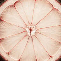 Calabrian Bergamot Polyphenolic Fraction