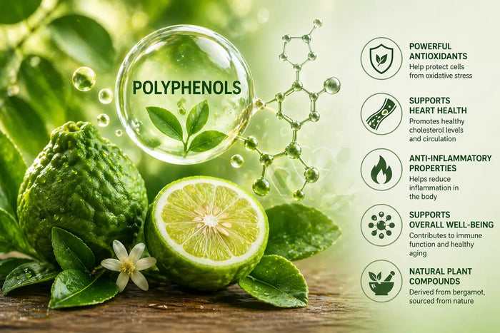 Understanding the Importance of Polyphenols in Bergamot
