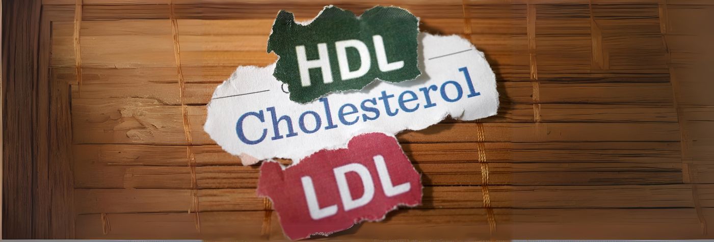 Difference Between LDL and HDL Cholesterol