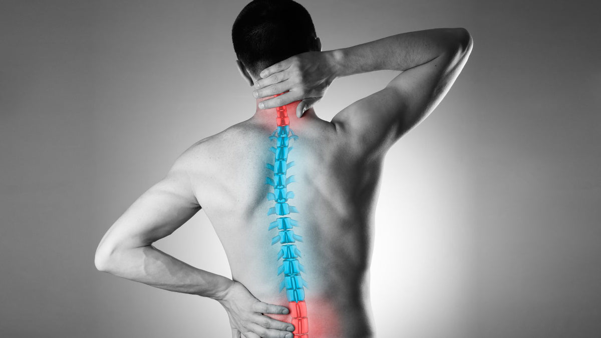Benefits of Adding Vitamins K2 and D3 to Help Fight Osteoporosis