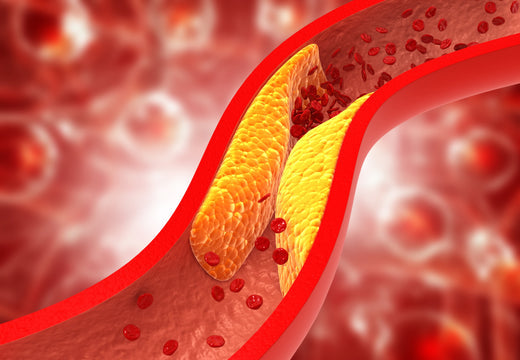 Why It's Crucial to Understand Cholesterol and Its Effects on Heart and Liver Health