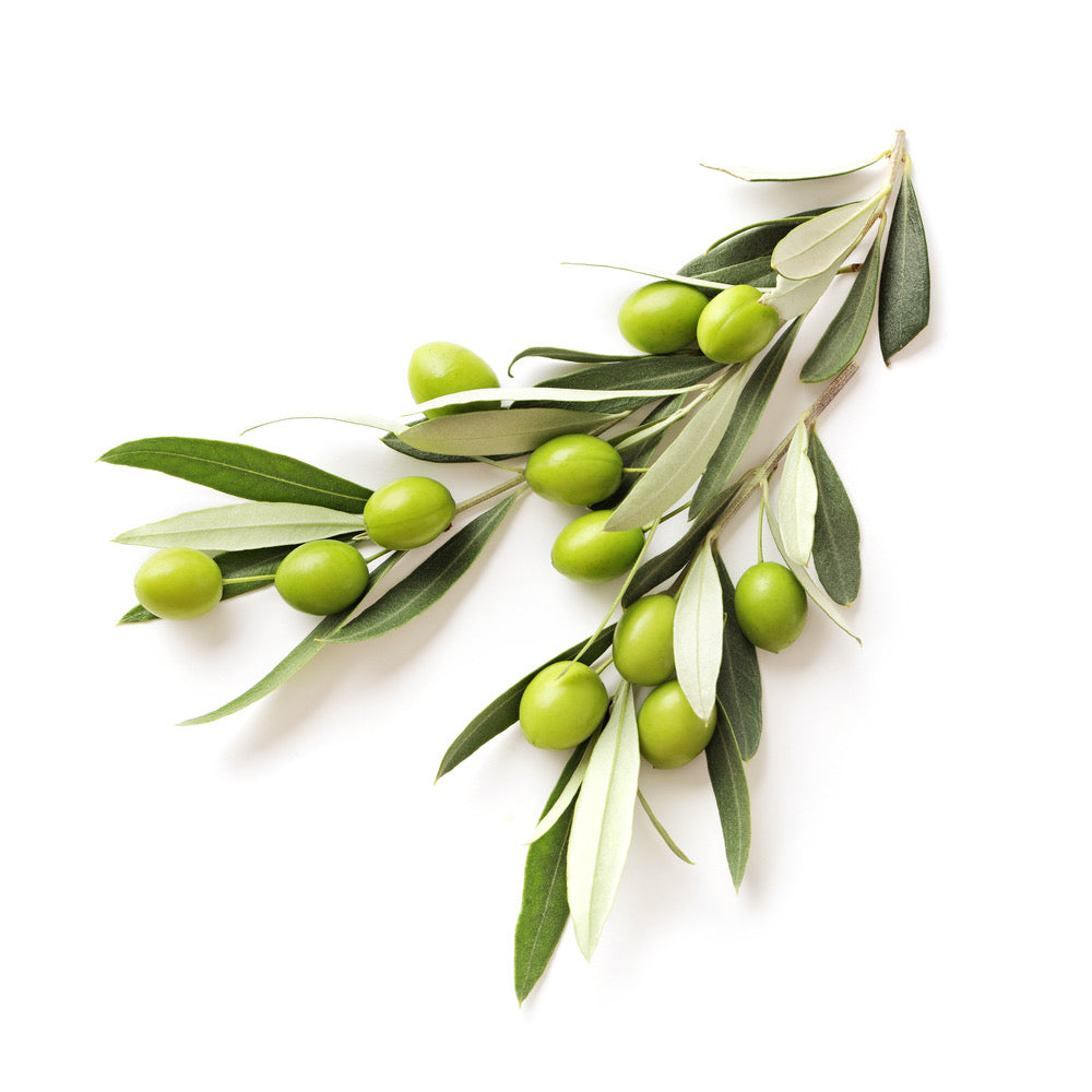 Olives