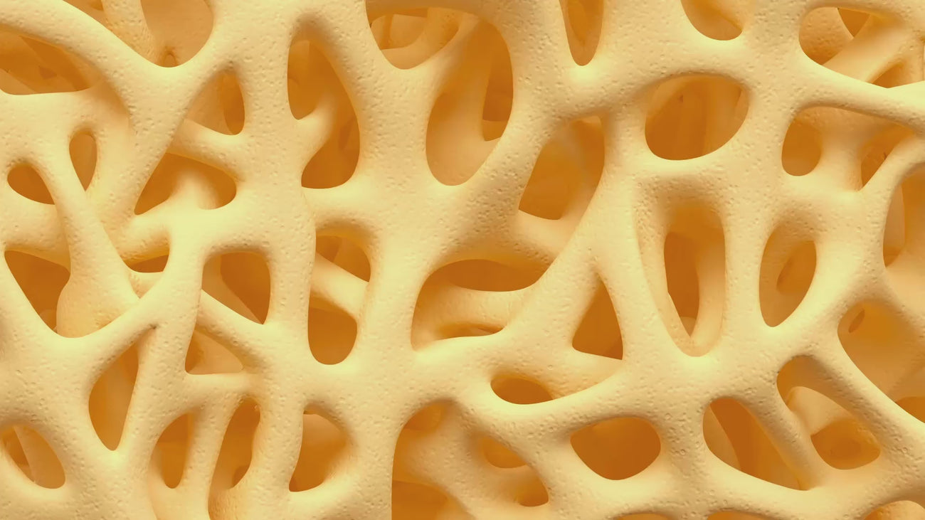 animation of bone density